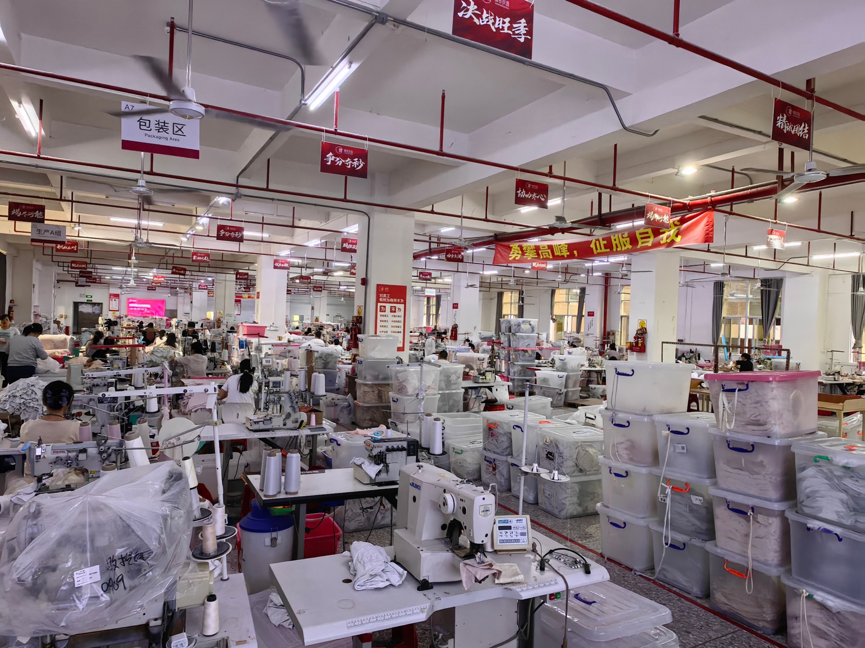 Vitrine de la ligne de production1.jpg