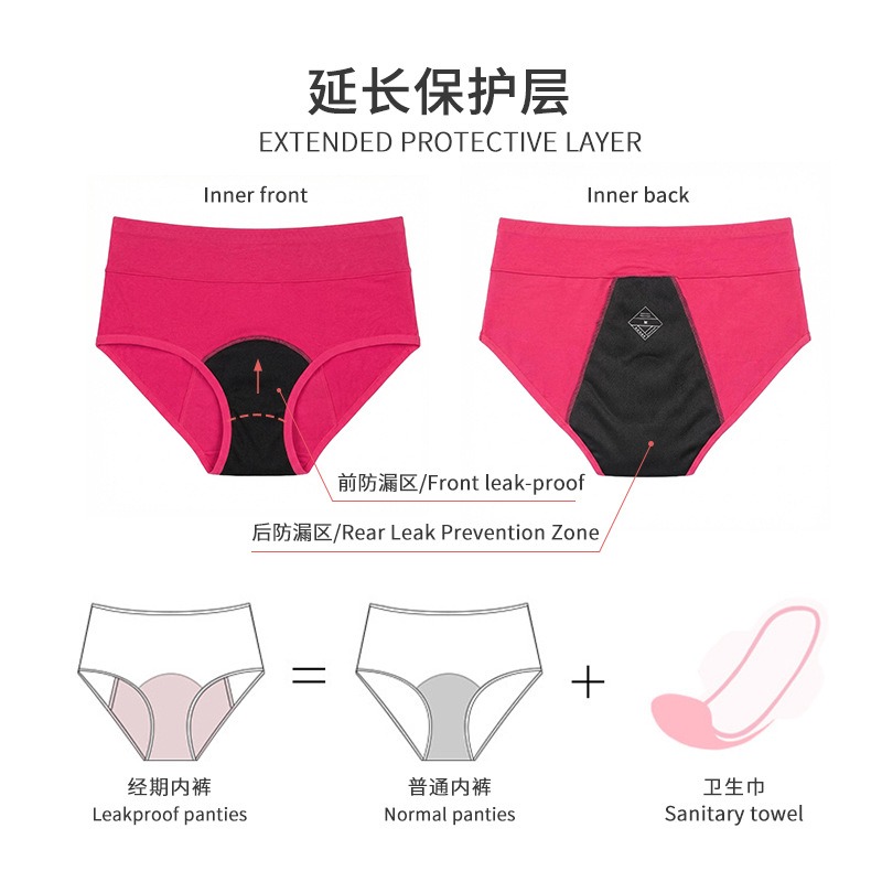 Culotte menstruelle européenne grande taille – LJV-EU-SW